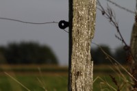 natur1-0000033