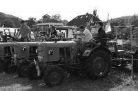 eichertreffen-2011000038