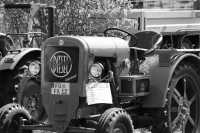 eichertreffen-2011000249