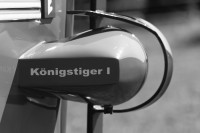 koenigstigeri000081