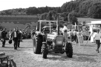 eichertreffen-2011000071